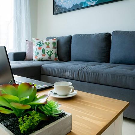 Apartamento El Tajaraste 이코드레로스비노스 외부 사진